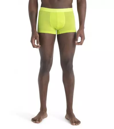 Мерино Бельо Icebreaker Anatomica Cool-Lite Trunks M's Summer 2024