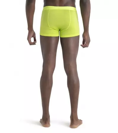 Мерино Бельо Icebreaker Anatomica Cool-Lite Trunks M's Summer 2024