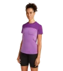 Тениска Icebreaker 125 Cool-Lite Merino Blend Sphere III SS Tee W's Summer 2025