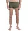 Мерино Бельо Icebreaker Anatomica Cool-Lite Trunks M's Summer 2024