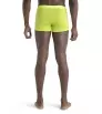 Мерино Бельо Icebreaker Anatomica Cool-Lite Trunks M's Summer 2024